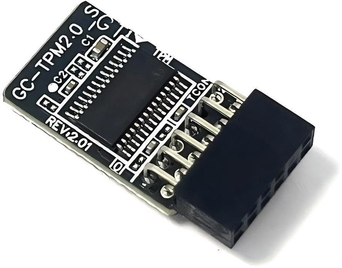 Dailygoods - TPM2.0 12-pin Module Voor Oudere Moederborden