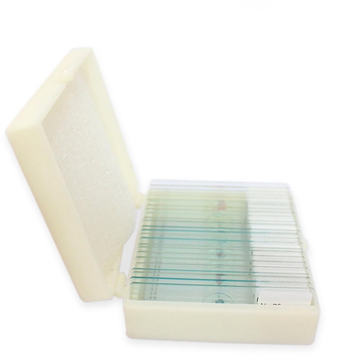 Dailygoods - Dailygoody - 25 Objectglaasjes voor Microscoop - Voorbereide Monsters - Helder Glasmateriaal - Biologische Toepassing - Geschikt voor Laboratoria