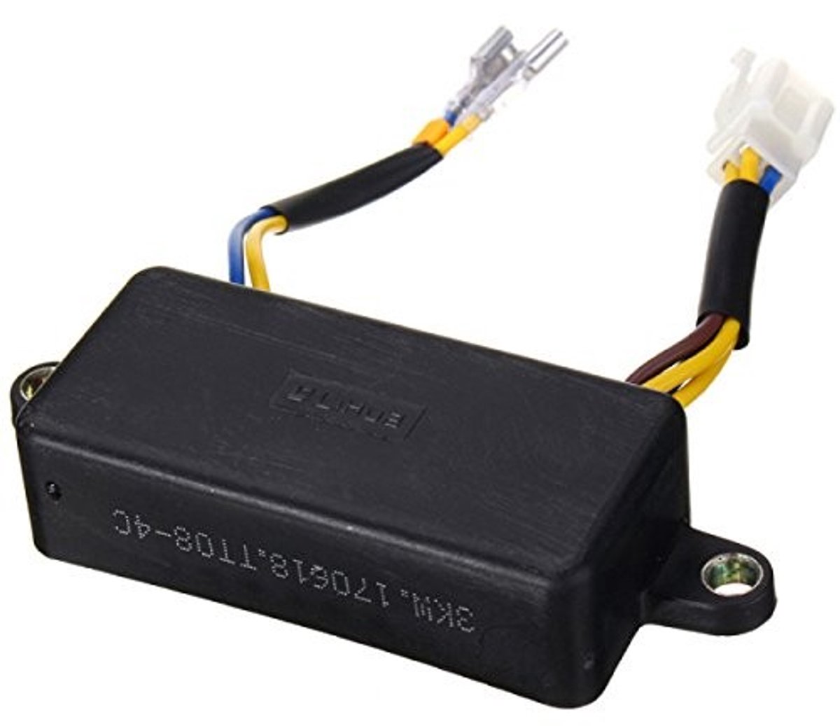 Dailygoods - Dailygoody - Automatische Spanningregelaar - Voltage Regulator - Voor Generatoren tot 3 KW - Zwart - 250V AC - Ideaal voor Thuisgebruik - Compact