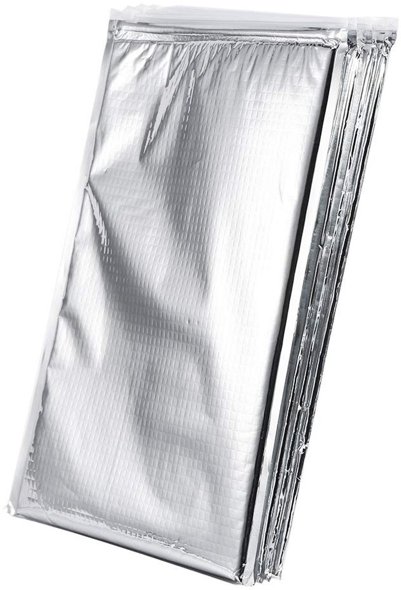Dailygoods - Dailygoody - Geïsoleerde Koeltassen - Dubbelzijdig - Ideaal voor Picknick - Zilver - Thermisch - Set van 5 Stuks - 30 x 35 cm