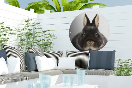Garden Circle Lapin - Animaux domestiques - Fourrure - 60x60 cm - Affiche de Jardin Ronde - Extérieur