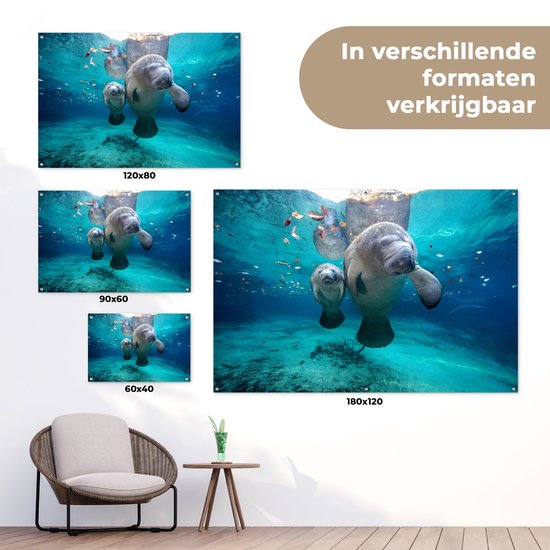 Décoration murale Lamantin antillais avec bébé - 180x120 cm - Poster jardin - Toile jardin - Poster extérieur