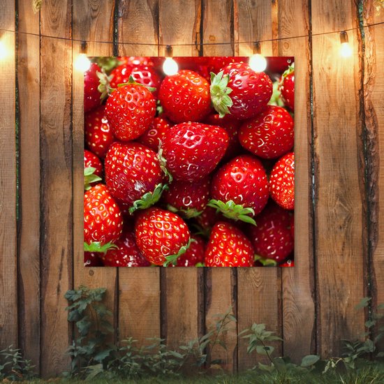 Chiffon de jardin Fraise - Fruit - Graines - 100x100 cm