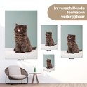 PDP.ProductImage.Thumb.Image.srtText 11