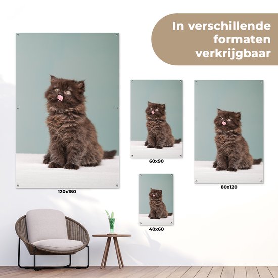 Posters de jardin Chaton persan tirant la langue - 60x90 cm