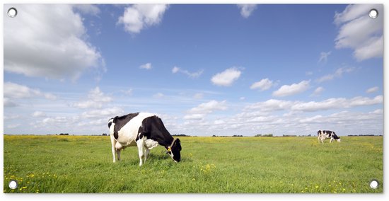 Un large panorama d'une affiche de jardin montrant une vache noire et blanche broutant dans une prairie verte.