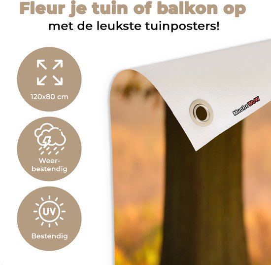 Tuinposter 120x80 cm - Tuindecoratie Herfst - Zon - Herten - Poster voor in de tuin - Buiten decoratie - Schutting tuinschilderij - Tuindoek muurdecoratie - Wanddecoratie balkondoek
