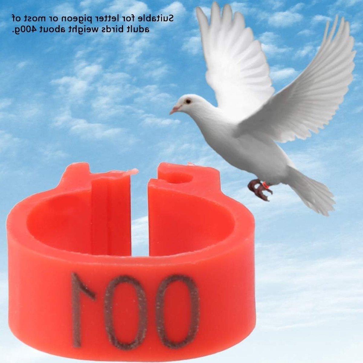 8MM Plastic Duivenbanden - 100 Stuks Genummerde Legbanden voor Duiven en Vogels, Kleur Rood, Duivenaccessoires