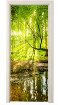 Sticker pour porte Forêt - Paysage - Water - Arbres - Soleil - Vert - Nature - 75x205 cm - Door Poster