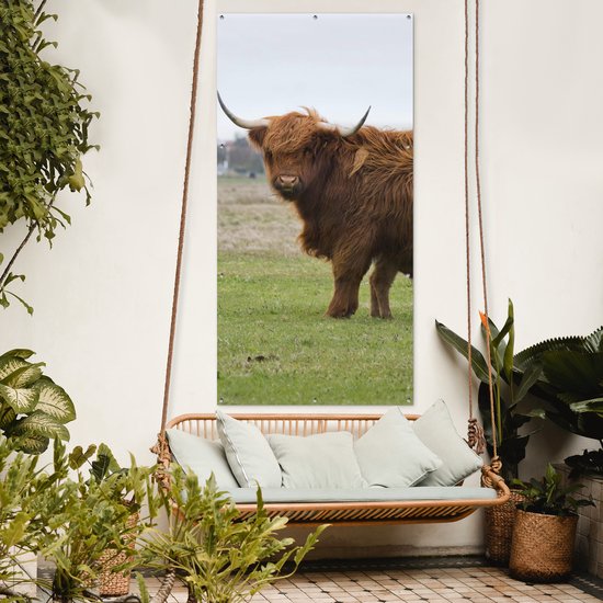 Affiche de clôture Scottish Highlander - Vache - Herbe - 100x200 cm - Toile de jardin