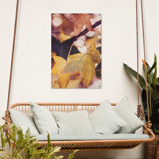 Affiche de jardin - Automne - Feuilles - Esdoorn - Oranje - 60x90 cm - Tableau de jardin - Décoration de jardin