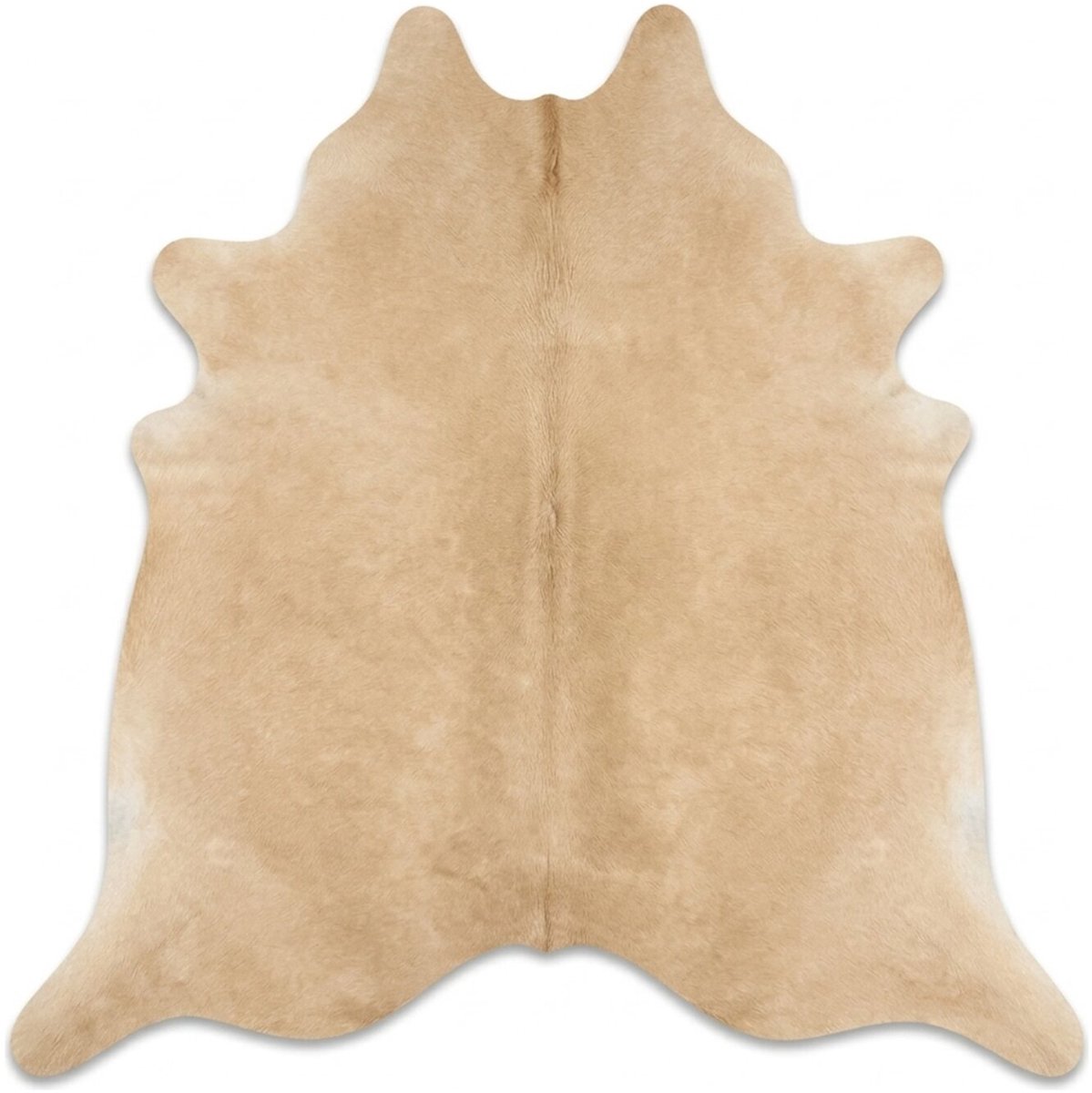 Koeienhuid Vloerkleed - Beige - 260 x 240 cm - Koeienkleed / Koeienvel / Dierenvel / Dierenhuid / Koehuid Tapijt - incl. 4 onderzetters