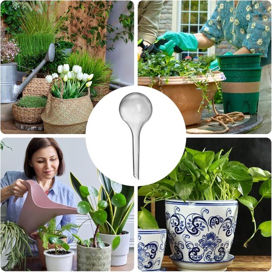 Waterbollen Kamerplanten - Zelfwatergevende Bollen - Planten Water Geven - Constante Watertoevoer - 127 cm Hoog - Helder van Merkloos	 — afbeelding 5