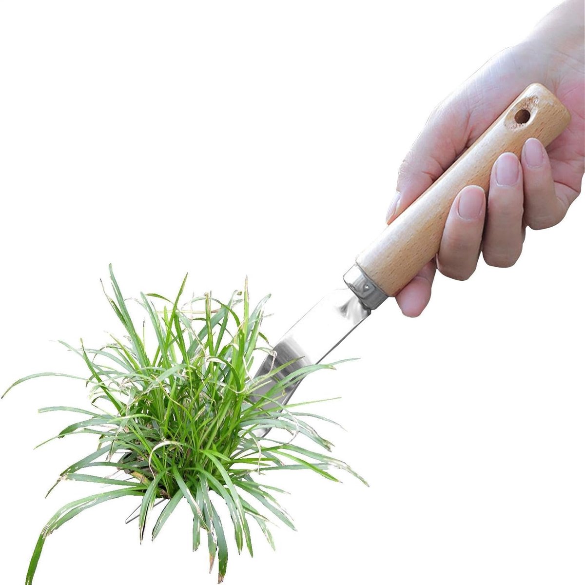 Grasverwijderaar - Onkruid hark - Tuinonderhoud - Ergonomisch ontwerp - 27 cm - Zilver