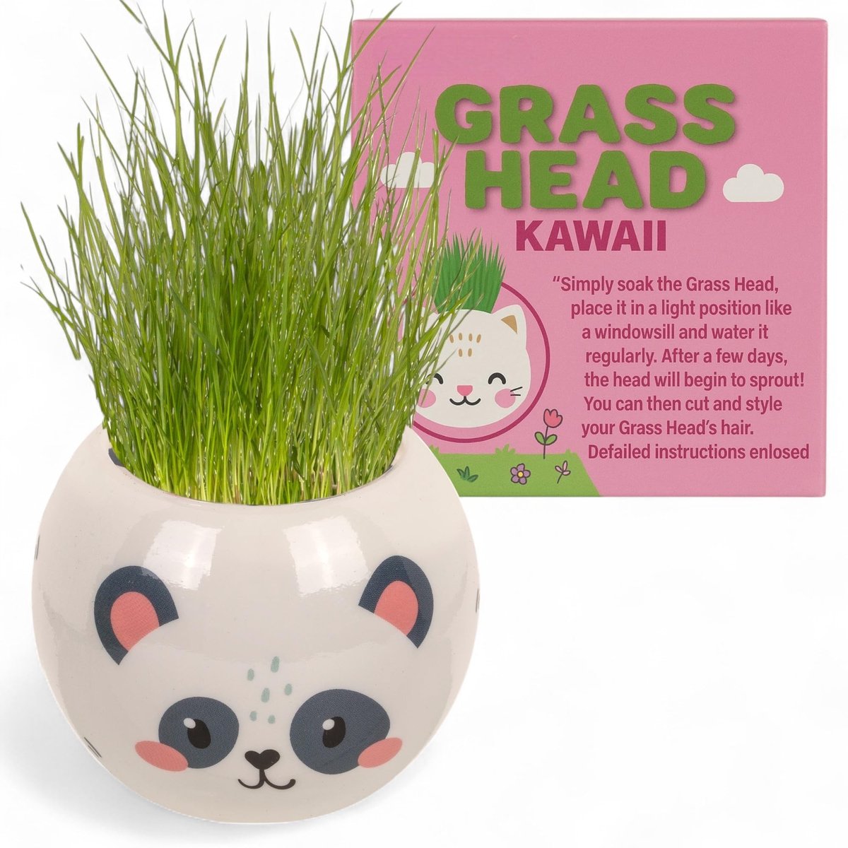 LIVIA HOME- Plantenset Dierfiguren - Graskop met Aarde en Graszaad - Kunststof Pot 6,5 cm - Doe-Het-Zelf Decoratie - Voor Kinderen en Volwassenen - Kweekset