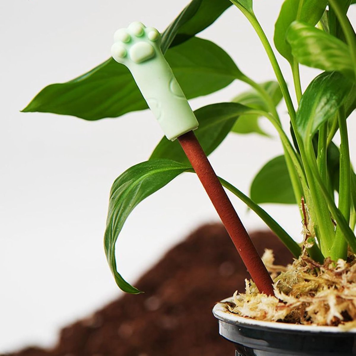 Bodemvocht Tester - Tuinmeter Set - Planten Verzorgen - Kleurindicator Technologie - 3 Stuks - Niet gespecificeerd