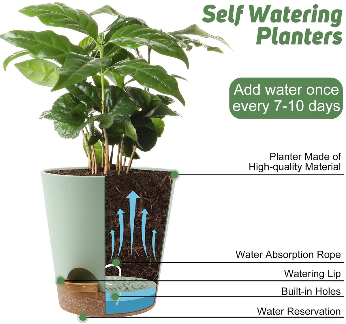 Zelfwaterende Plantenpot Set 6 Stuks - Bloempotten voor binnen -Plantenpot met Waterreservoir en Katoenen Lont - Kruidenpotten voor Binnen en Buiten - Bloempot Zelfbewaterend voor Keuken, Balkon en Tuin — cadeau in Wonen & Interieur - foto 6