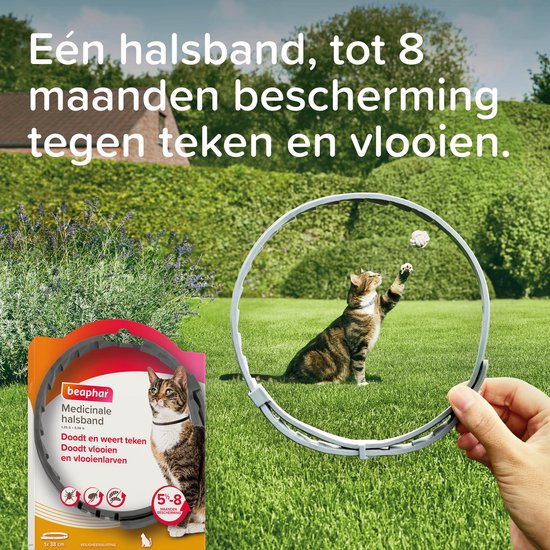 Grijze Beaphar medicinale halsband voor katten, met de tekst 'Eén halsband, tot 8 maanden bescherming tegen teken en vlooien'. Kat met speelgoed in de lucht.
