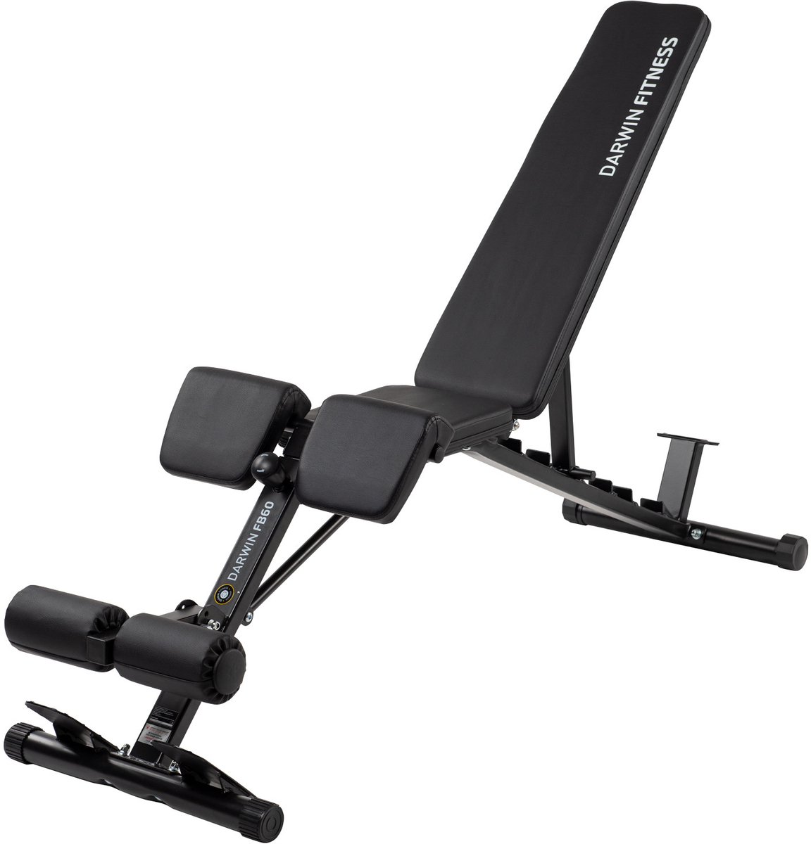 Darwin Halterbank FB60
