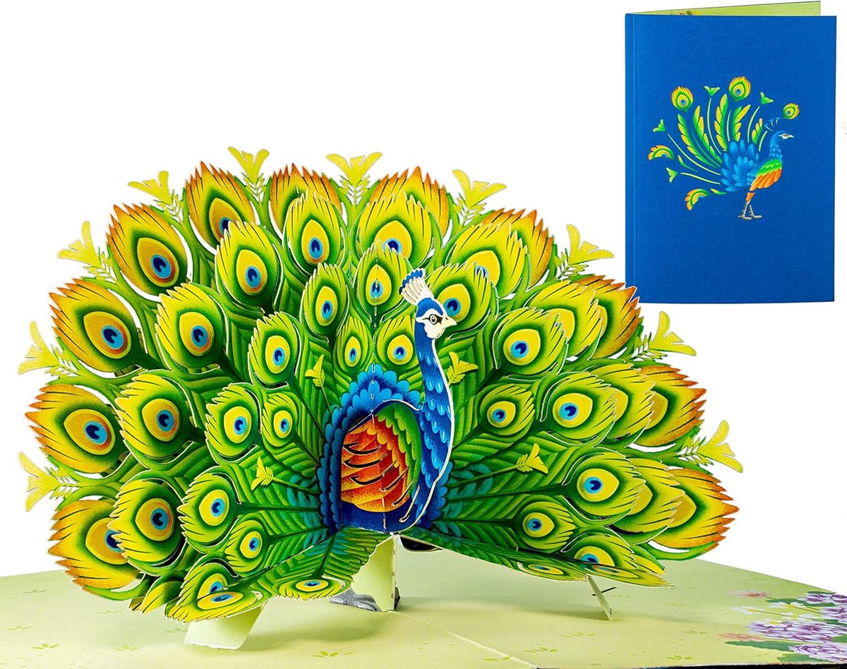 Pop-up wenskaart - 3D kaart - Alle gelegenheden - Handgemaakt ontwerp - 125 x 129 cm - Pauw
