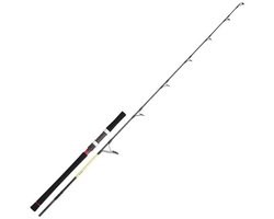 Daiwa Grandwave Casting Os Jigging Hengel Zilver 1.68 m / 100-300 g