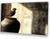 Vogel op rustieke pot - Vogel wanddecoratie - Muurdecoratie canvas dier - Realisme - Muurdecoratie kinderkamer - Decoratie kamer - Canvas 45x30 cm