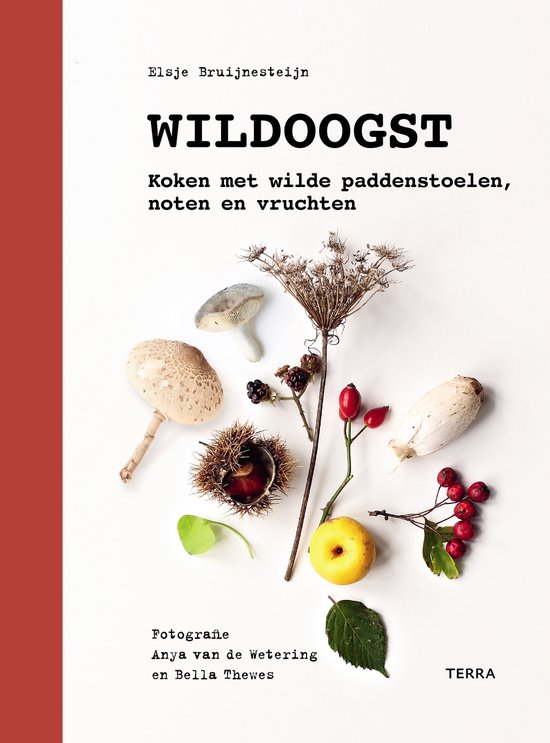 Wildoogst - cover