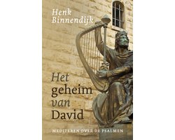 Omslag van Het geheim van David