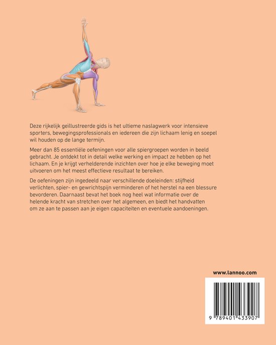 Anatomische illustratie van een liggende man met de armen gestrekt in een lungehouding, spieren en botten zichtbaar.