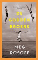 Zomerdrieluik 1 - De Godden broers