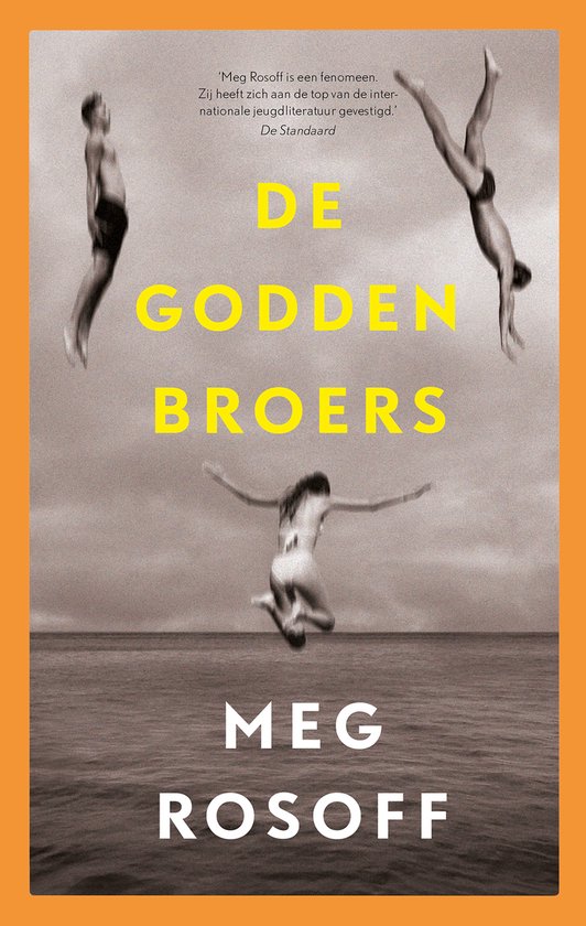 Zomerdrieluik 1 - De Godden broers - cover