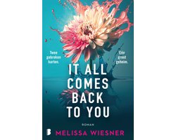 Omslag van It All Comes Back To You