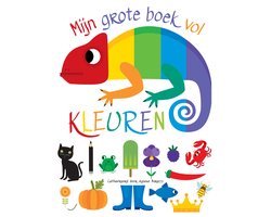 Omslag van Mijn grote boek vol kleuren