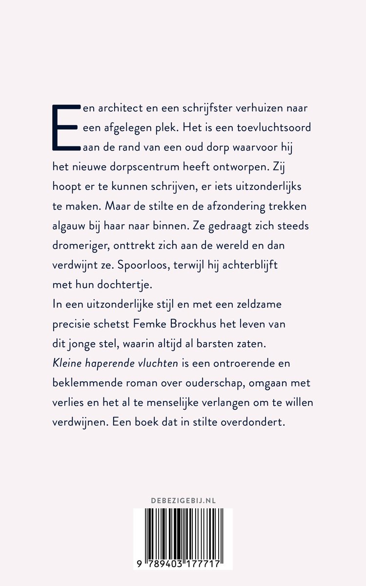 Kleine haperende vluchten - back cover