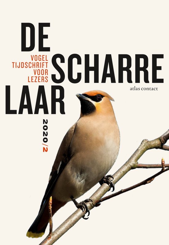 De Scharrelaar 4 - De scharrelaar 2020/2 - cover