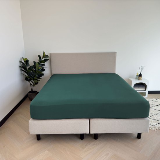 Drap-housse vert foncé sur un lit, à côté d'une table de chevet et d'une plante.