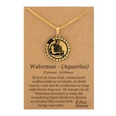 Collier signe du zodiaque Waterman sur carte cadeau - Couleur or - Talisman du Zodiac en acier inoxydable - Acier inoxydable - 60 cm - Pax Amare