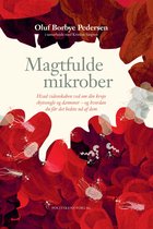 E-book