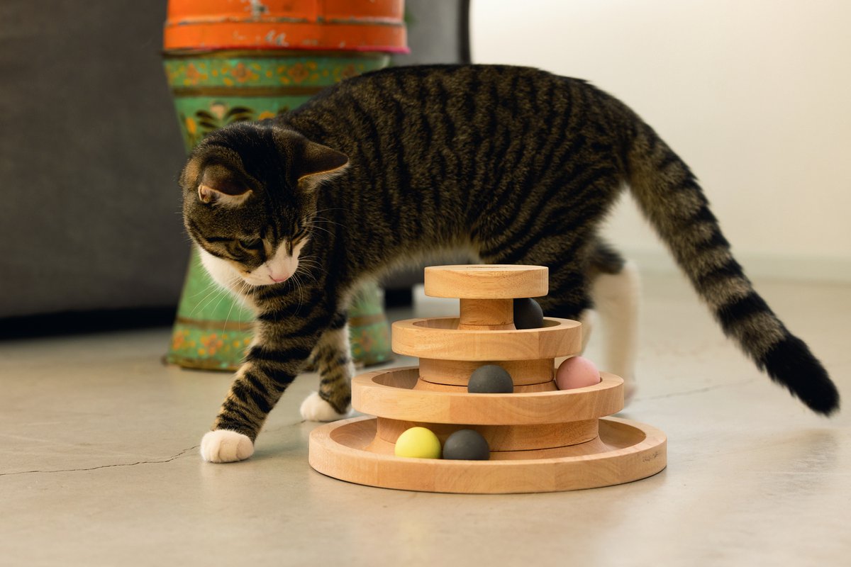 Designed by Lotte Speeltoren Mia - Kattenspeelgoed - Hout - Bruin - 26x26x14,5 cm — afbeelding 9