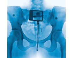 Lorde - Virgin (LP) (Explicit Booklet)