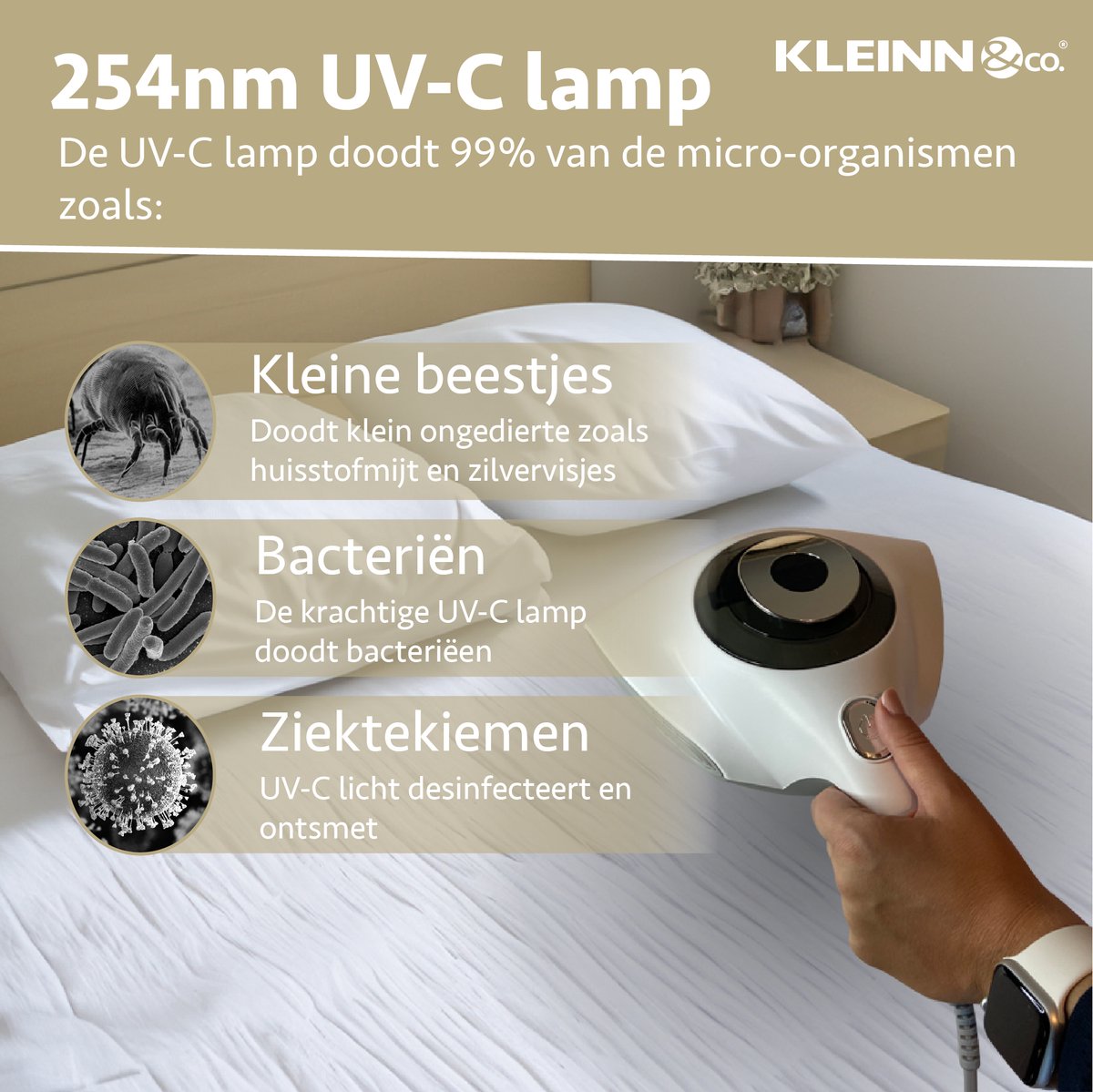 KLEINN KLEINN & co. Tapijtreiniger - afbeelding 4