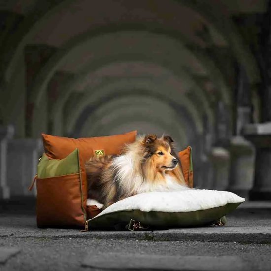 L’élianne Luxe Honden Autostoel Olijf Groen - Anti Angst - Anti Wagenziek - Licht Bruin - Automand - Autostoel