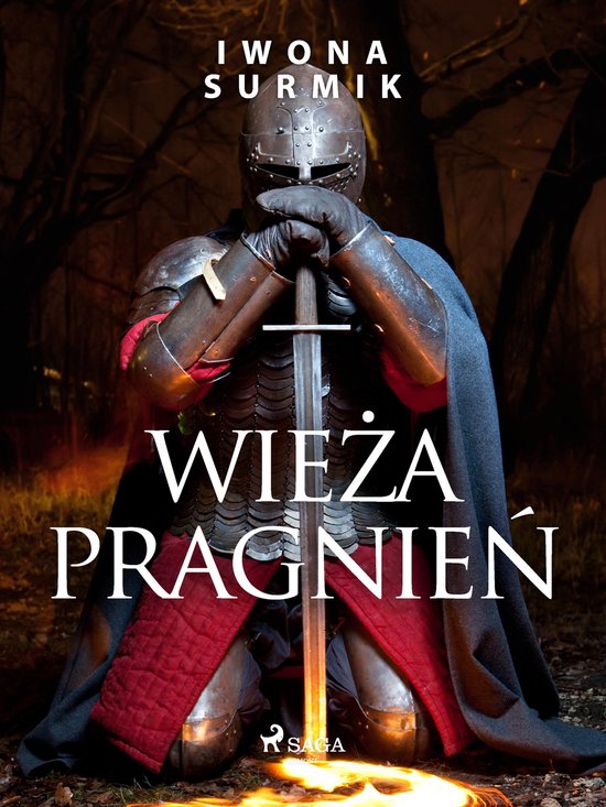 Wieża pragnień - cover