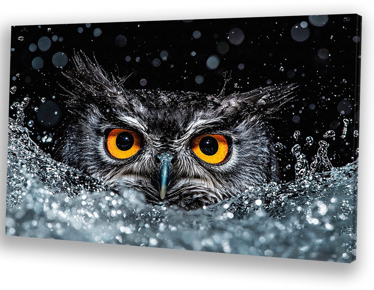 Uil met intense oranje ogen - Uil schilderijen canvas - Wandkunst water - Hyperrealisme -