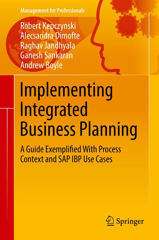 Management for Professionals- Implementing Integrated Busine ... - cover