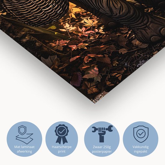 Elegante olifant in herfstbos - Olifant posters - Muurdecoratie bos - Hyperrealisme - Wanddecoratie modern - Woondecoratie - poster 50x70 cm