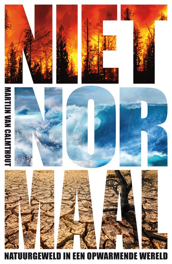Niet normaal - cover