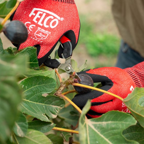 Felco 320 pluk- en bloemenschaar van Felco — afbeelding 5