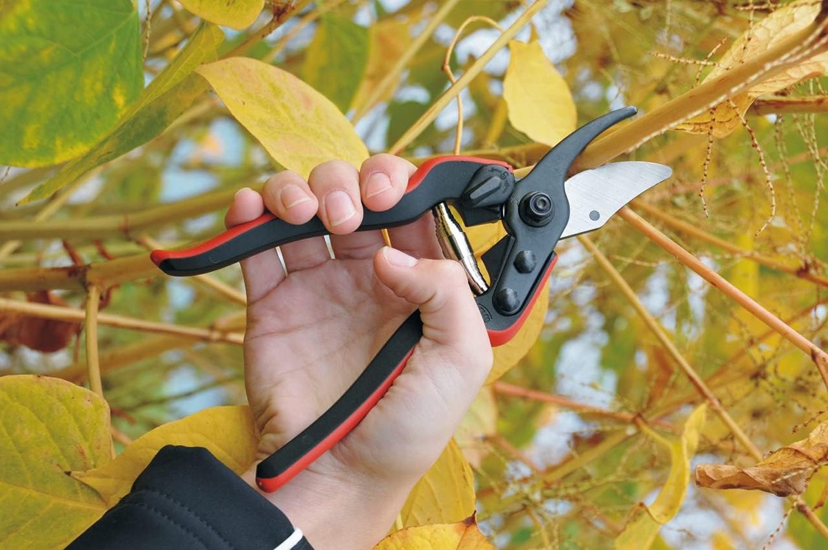 Felco Sécateur - 160 S