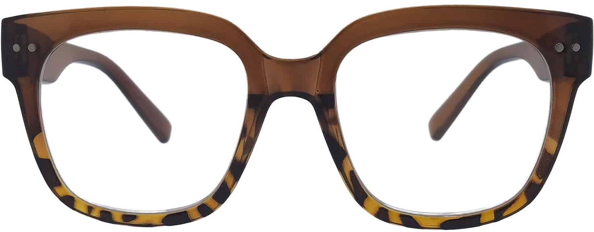 Noci Eyewear QCB341 Leesbril Asti +2.50 - Bruin met tortoise uitloop - groot montuur